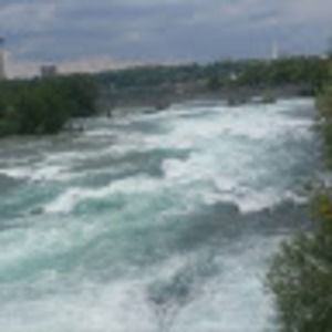 Meet your Posher, Dani